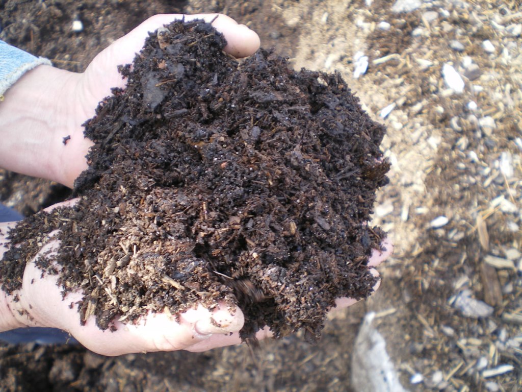 Aged bark mulch shown by the handful.