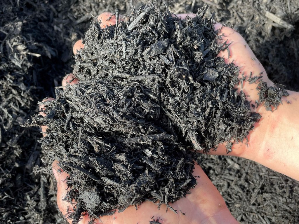Handful of black mulch for comparison.