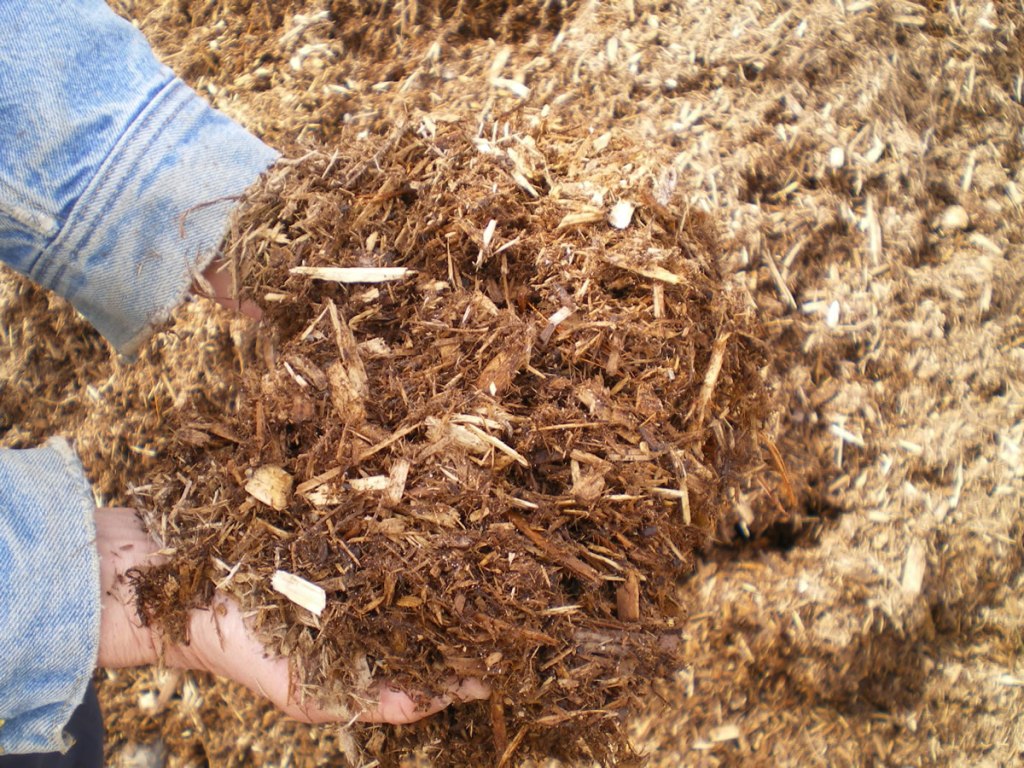 Cedar mulch shown by the handful.