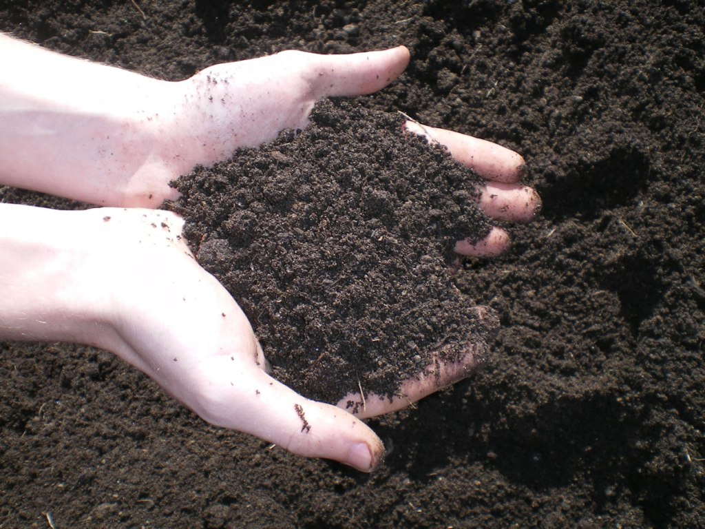 Organic Mushroom Compost shown by the handful.