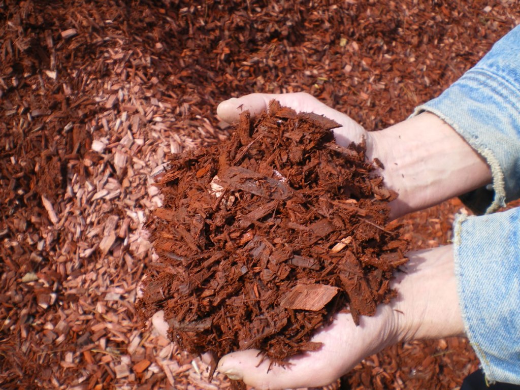 Handful of red mulch for comparison.